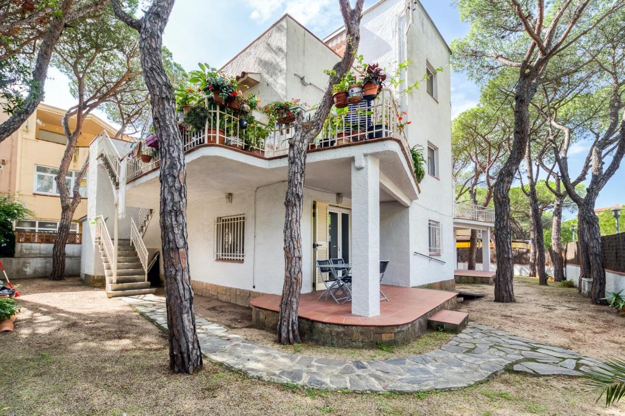 Hauzify I Apartament Edelweiss Кастел Пладжа де Аро Екстериор снимка